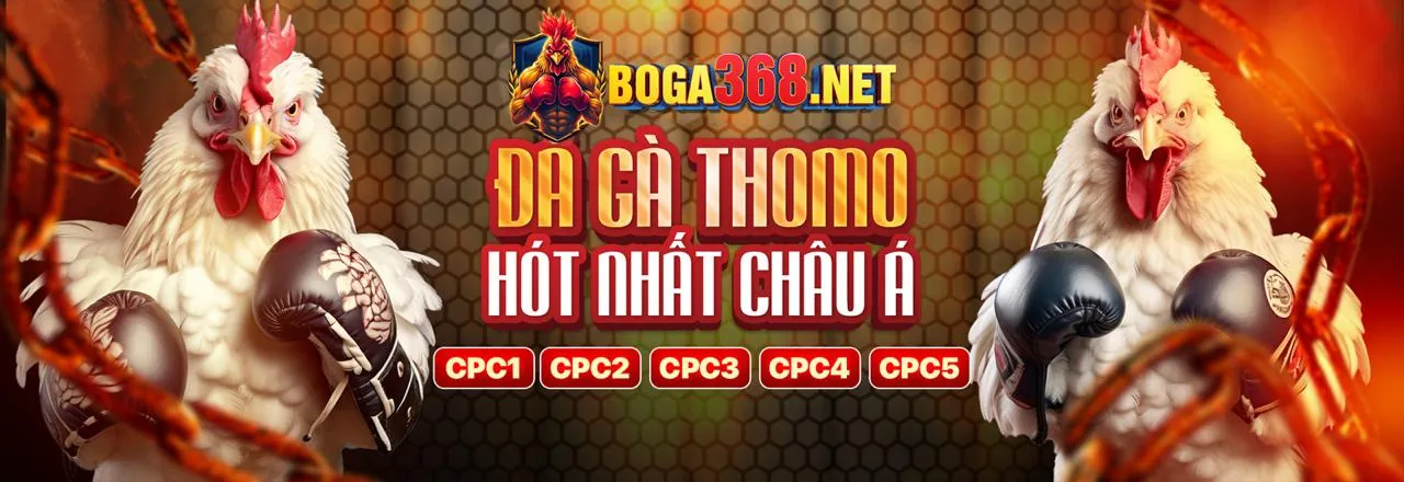 Bảo vệ dữ liệu cá nhân và quyền riêng tư tại jj8
