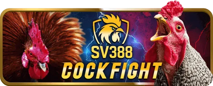 Cá cược Thể thao jj8